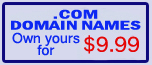 Get Professional - Get your own URL - FREE email, FREE website and FREE blog - from just $9.99 per YEAR!